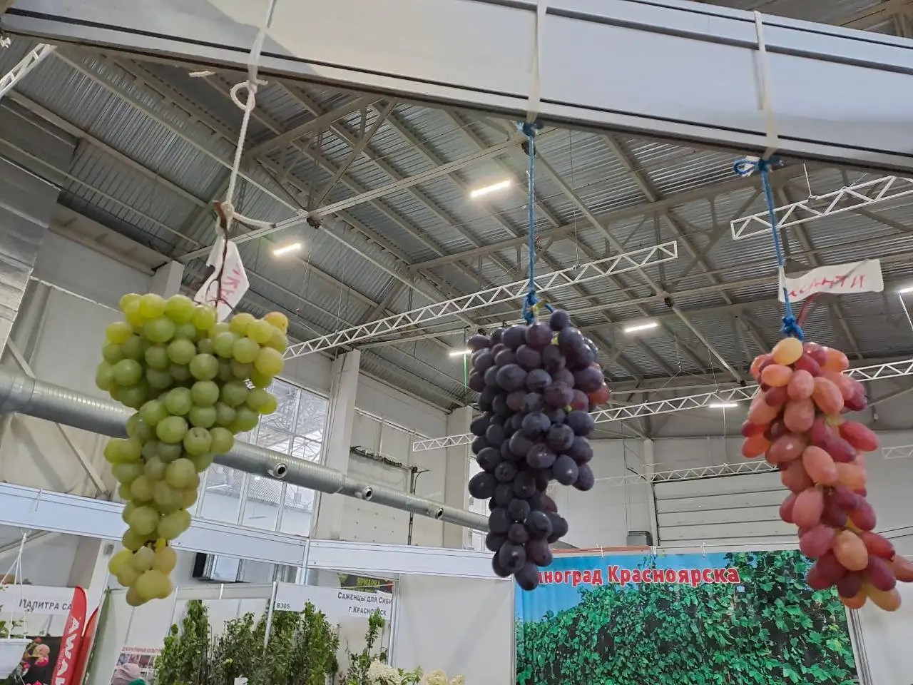 Фото: sibnovosti.ru