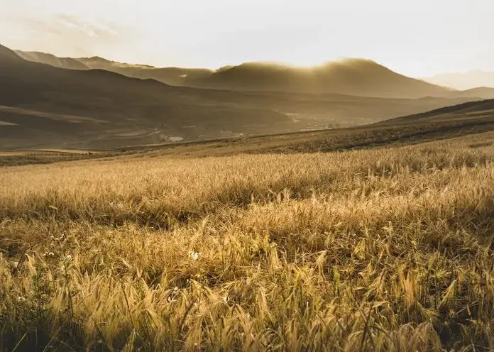 В Красноярском крае почти тысяча работников получили соцвыплаты для обустройства на селе