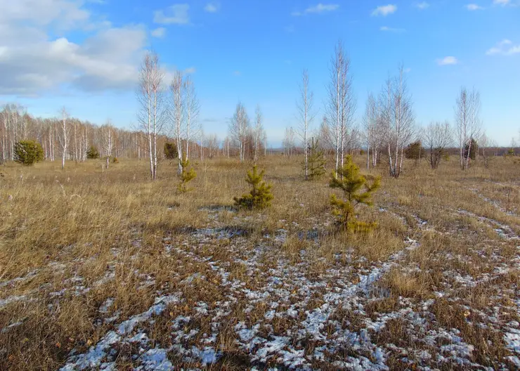 В Красноярском крае изымают 15 гектаров сельхозземель у села Большое Озеро