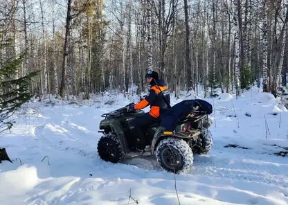 Красноярские спасатели снова вышли на поиски пропавшей семьей Усольцевых и обследовали 10 км леса. Какой результат?