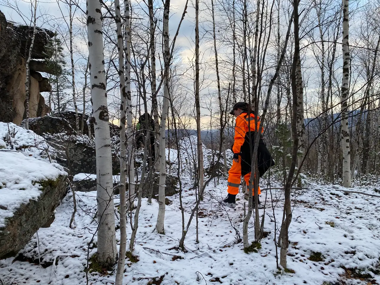 Фото: Поисковый отряд «ЛизаАлерт» Красноярского края / vk.com/la_krsk