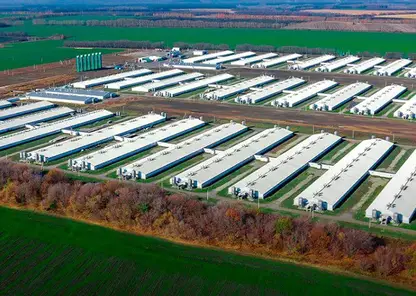 «Сибагро» снова в тройке лучших!