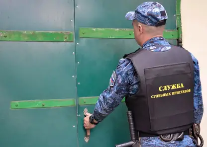 Должница по алиментам затоптала чужие огороды в попытке сбежать от судебных приставов в Забайкалье