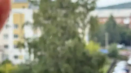 Летний сюрприз. В Кемерове выпал первый «снег»