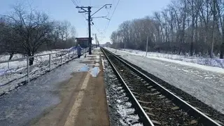 В Новосибирской области два человека попали под поезд за один день: женщина погибла, мужчина травмирован