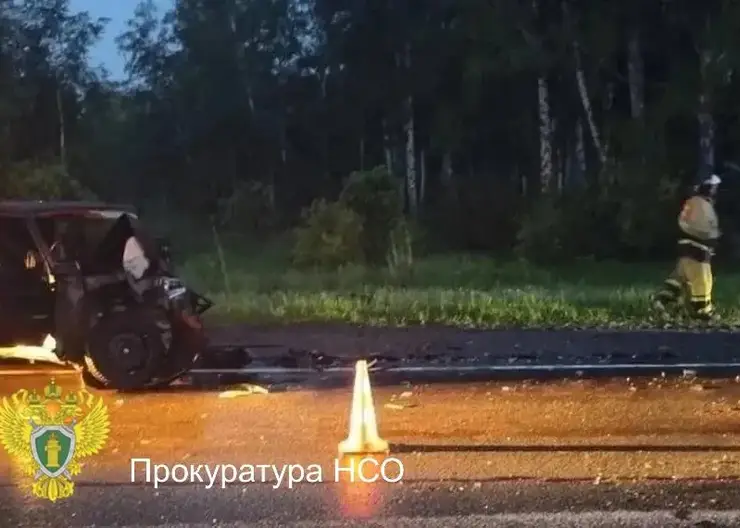 Смертельное ДТП под Новосибирском: бесправник вылетел на встречку — погиб подросток