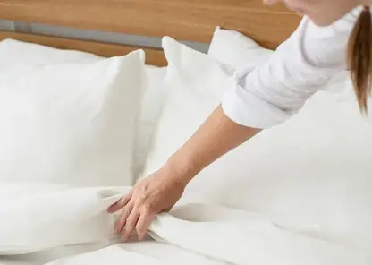 Красноярцам рассказали о профилактике появления пылевых клещей