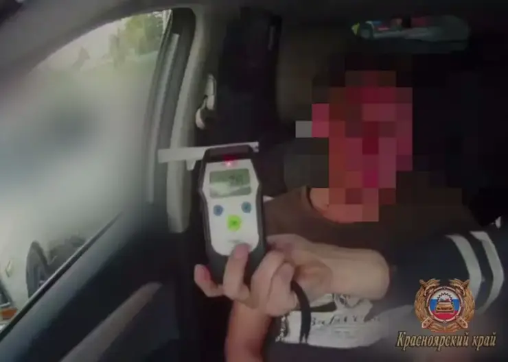 В Красноярском крае пьяный водитель-рецидивист заехал в поле и пытался убежать от инспекторов ДПС