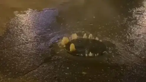 Жители микрорайона Белые Росы в Красноярске жалуются на проблемы с канализацией