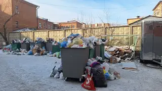 «Это не двор, а кошмар наяву»: мусор и крысы захватывают центр Красноярска «Это не двор, а кошмар наяву»: мусор и крысы захватывают центр Красноярска