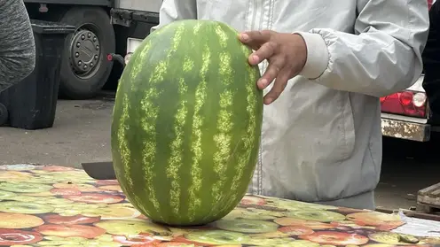 В Красноярский край завезли почти 5 тысяч тонн арбузов