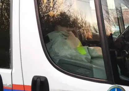 В Новосибирске под лед провалилась 11-летняя девочка. Ее успели спасти