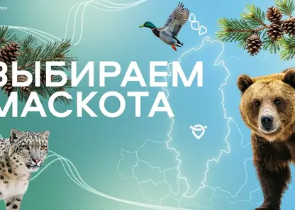 Красноярский аэропорт выбирает маскота: голосование уже открыто