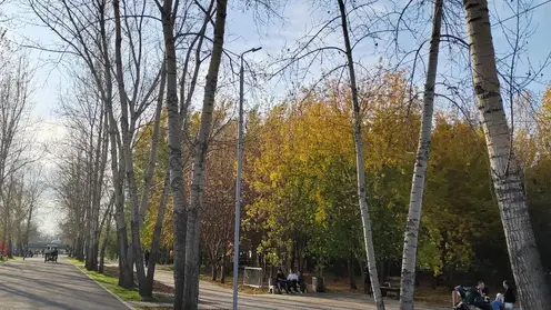 Суббота в Красноярске будет сухой и прохладной