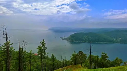 Байкальскую тропу закрыли для туристов из-за медведей