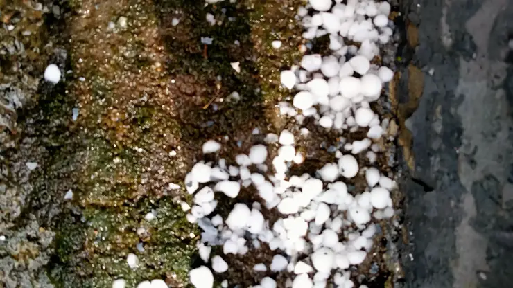 Мощный град обрушился на Красноярск: подборка видео