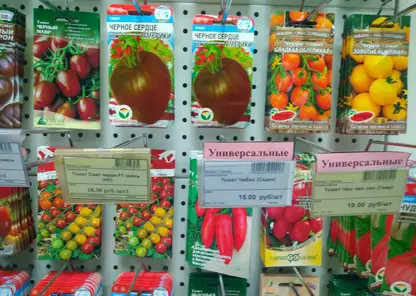 В магазинах Минусинска продавали семена несуществующих сортов