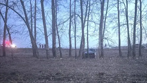 Легковушка улетела в кювет на трассе в Новосибирской области. Двое мужчин погибли