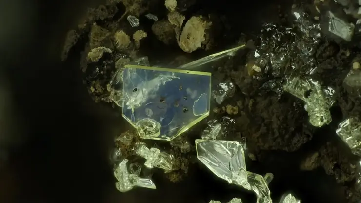 Бактерии-«поджигатели»: томские ученые раскрыли неожиданную причину возгорания угля