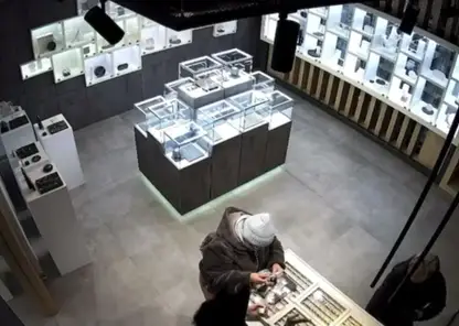 Красноярка украла драгоценностей и продуктов на 2,5 миллиона