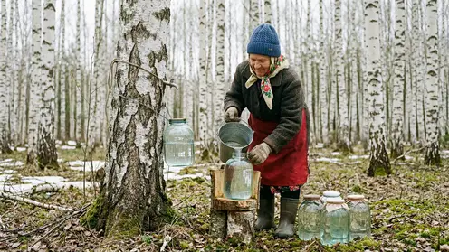 Алтайские эксперты рассказали, как выбрать полезный березовый сок в магазине