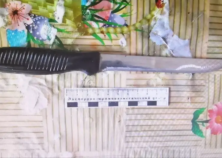 В Лесосибирске женщина зарезала знакомого после отказа уйти из ее дома