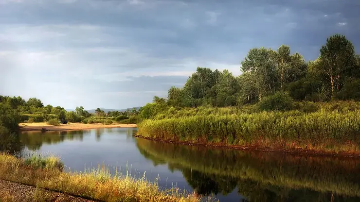Уровень воды в реке Читинка в Забайкалье вырос на 8 сантиметров за сутки