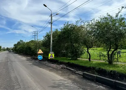 На правобережье Красноярска снесли 10 деревьев из-за переноса одной остановки