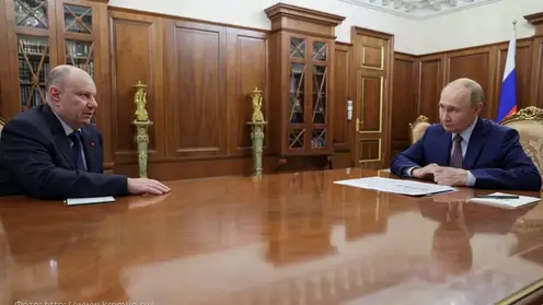 Президент России Владимир Путин провел рабочую встречу с главой «Норникеля» Владимиром Потаниным
