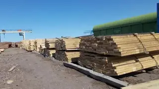 Предпринимательница и ее компаньон пойдут под суд за контрабанду леса на 100 миллионов рублей в Красноярском крае