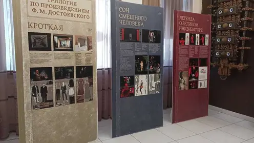 «Единая Россия» выделила средства на постановку спектакля «Кроткая» в Красноярском театре кукол