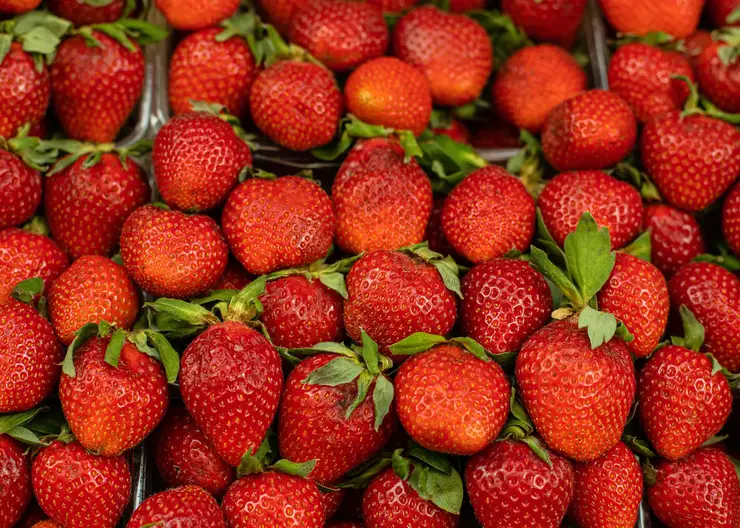 В Роспотребнадзоре красноярцам рассказали, как выбрать клубнику
