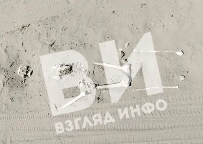 В Минусинском районе отдыхающие нашли на пляже костные останки