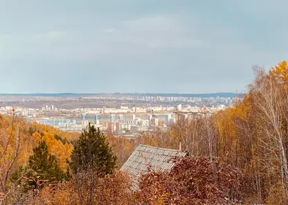 В Красноярском крае прогнозируют сильный ветер 11 октября