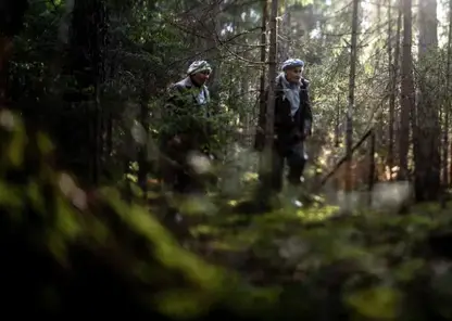 Полиция Кузбасса вторые сутки ищет шестерых пропавших грибников