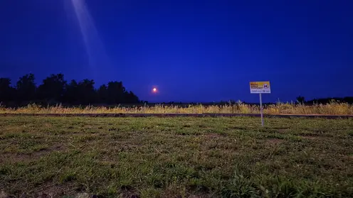 В Приангарье обработали почти 380 тысяч гектаров посевов от саранчи и мотыльков