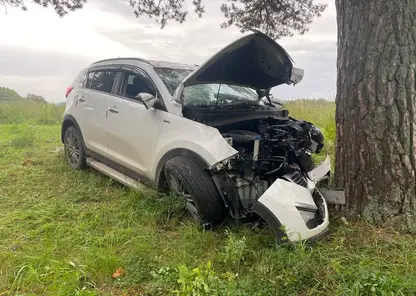 В Красноярском крае произошло смертельное ДТП: водитель и пассажирка погибли