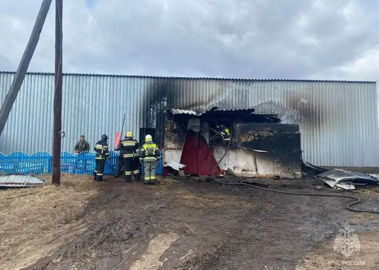 27 пожаров потушили в крае за сутки