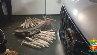 Коммерческий подкуп на 2,7 млн: в Новосибирске задержан организатор незаконной рыбалки у ГЭС