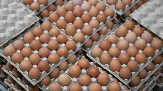 В красноярских магазинах заметно подешевели куриные яйца