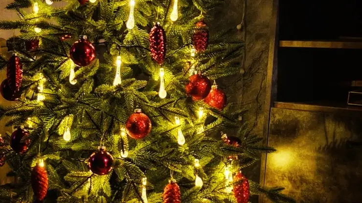 Школам Забайкалья рекомендуют отмечать Новый год в кабинетах