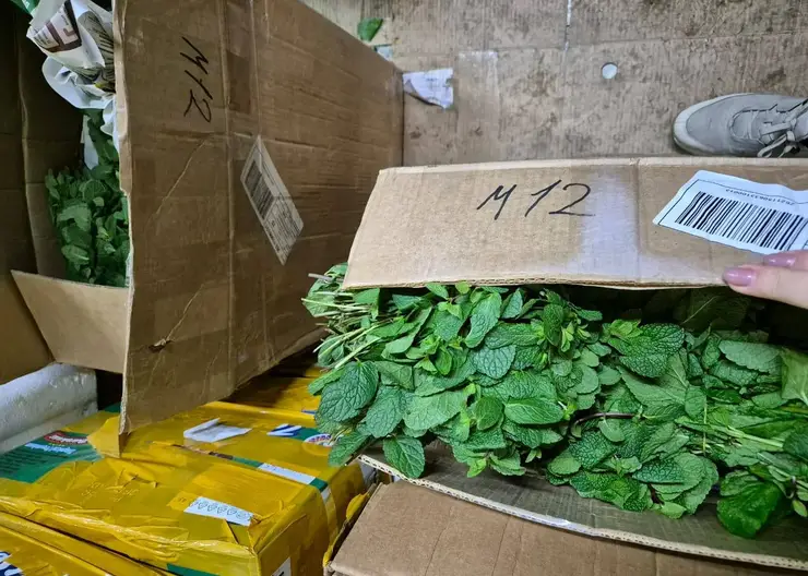 В аэропорту Красноярска проверили 14 420 цветов