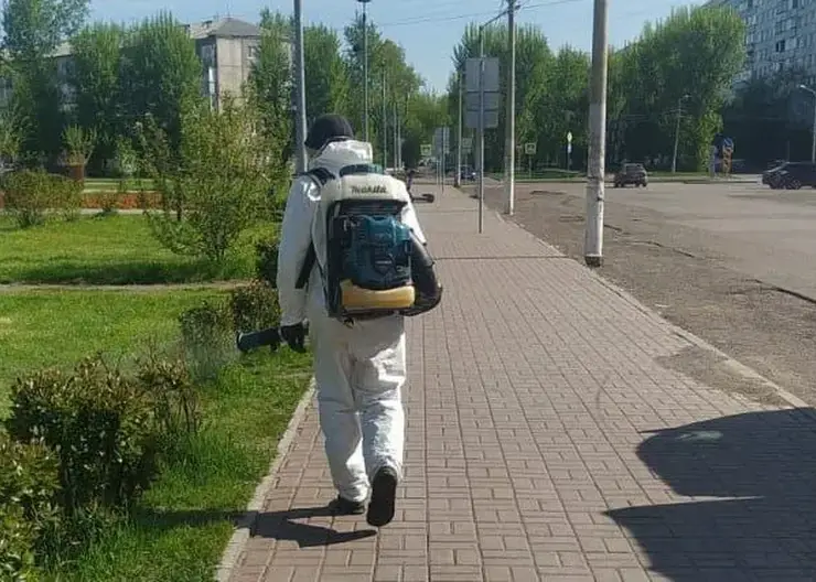 В Красноярске продолжают обрабатывать парки и набережные от клещей