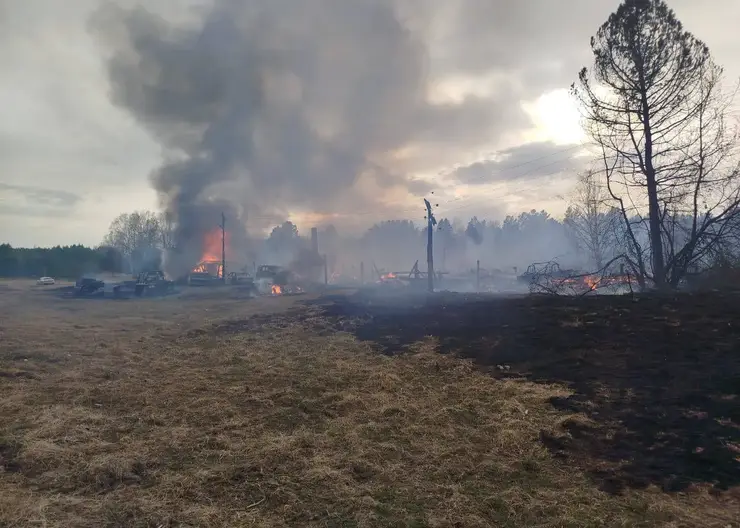 Пожар, уничтоживший деревню в крае, спровоцировал местный житель