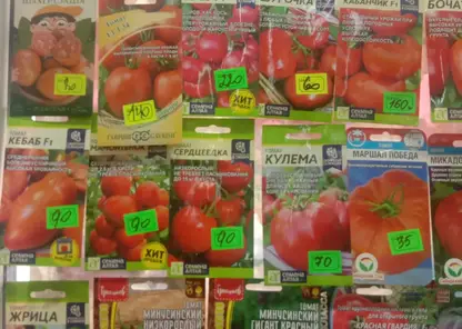 В Канске изъяли семена томатов и огурцов, не прошедших проверку