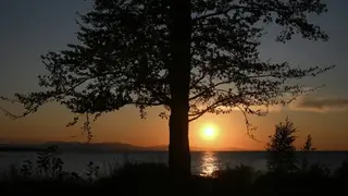 Закон о сплошных рубках на Байкале вступил в силу