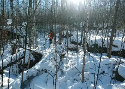 Красноярские спасатели за день обследовали пять квадратных километров тайги в поисках пропавшей семьи Усольцевых