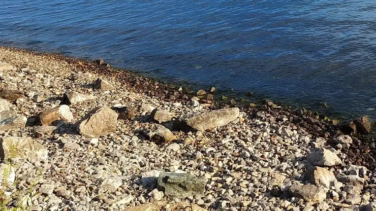 Загадочный артефакт из земель Чингисхана продается в Чите