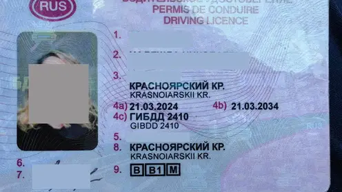 Купила поддельные права за 78 тысяч и попалась полицейским в Красноярском крае