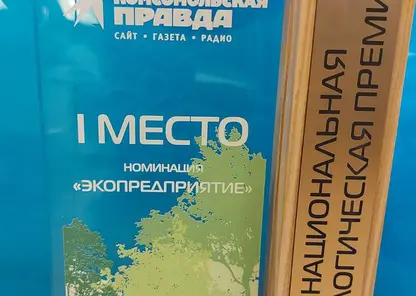 Цикл роликов «Живи экологично!» победил в Национальной экопремии Медиагруппы «Комсомольская правда»